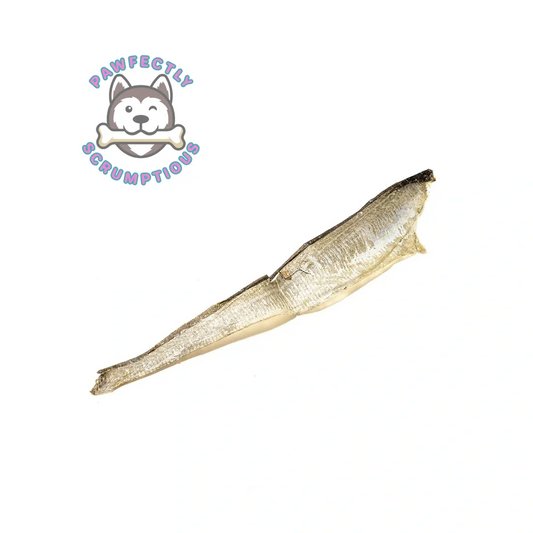 Fish Skin Flats