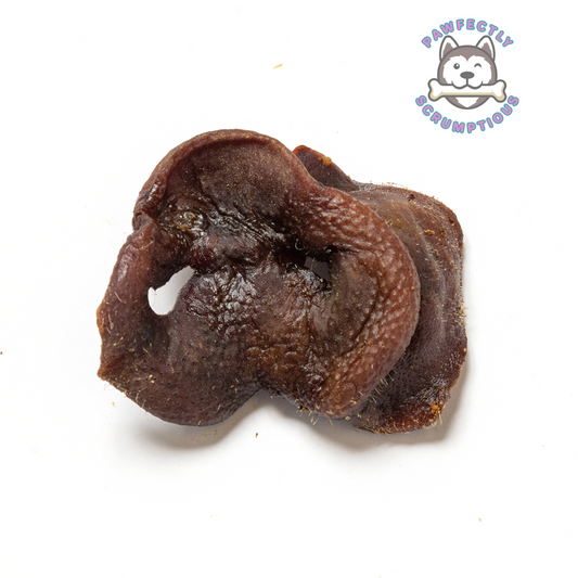 Pigs Snout (Baked)