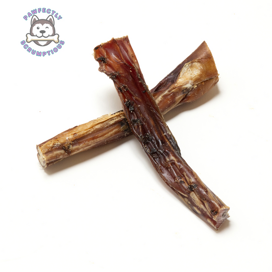 Pizzles Bull Sticks