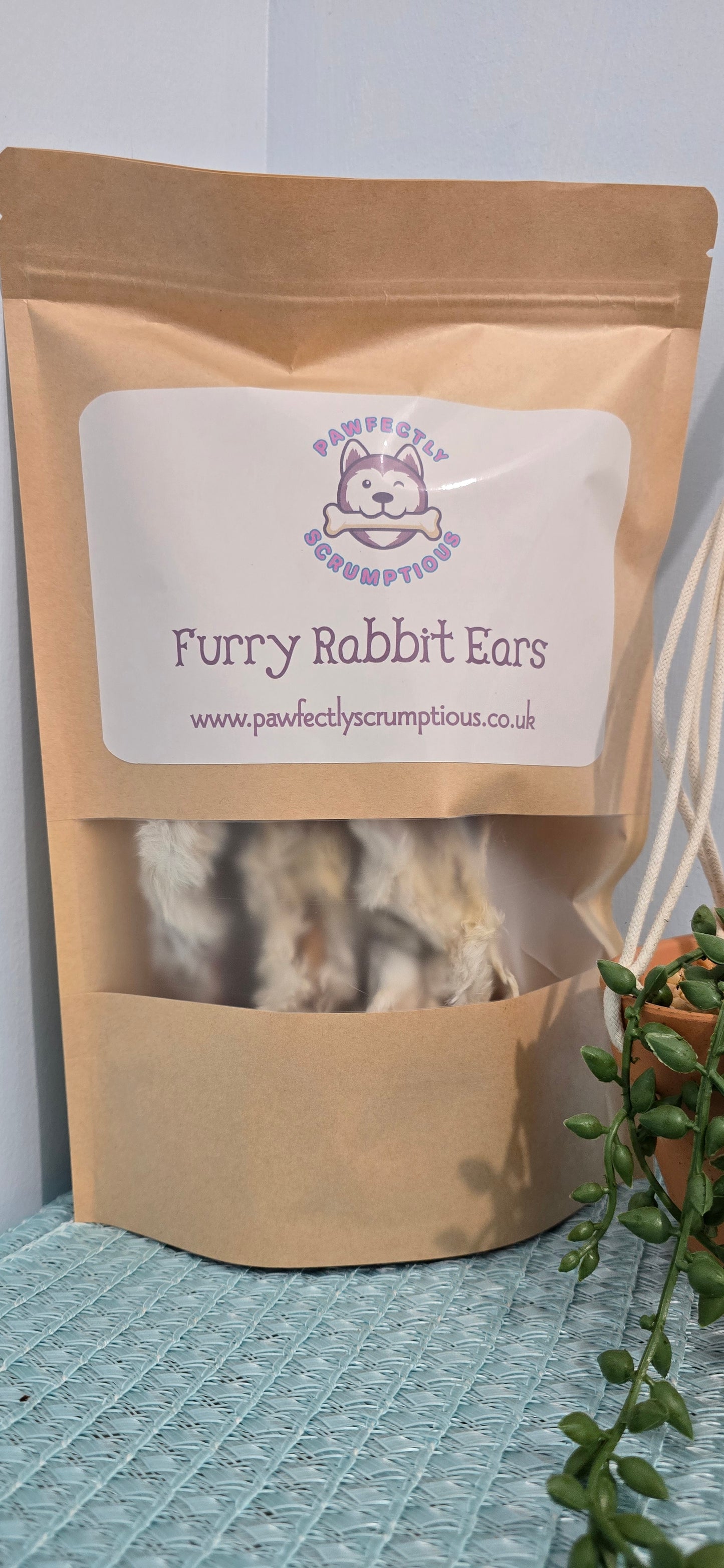 Rabbit Ears (WIth Fur/Hair)