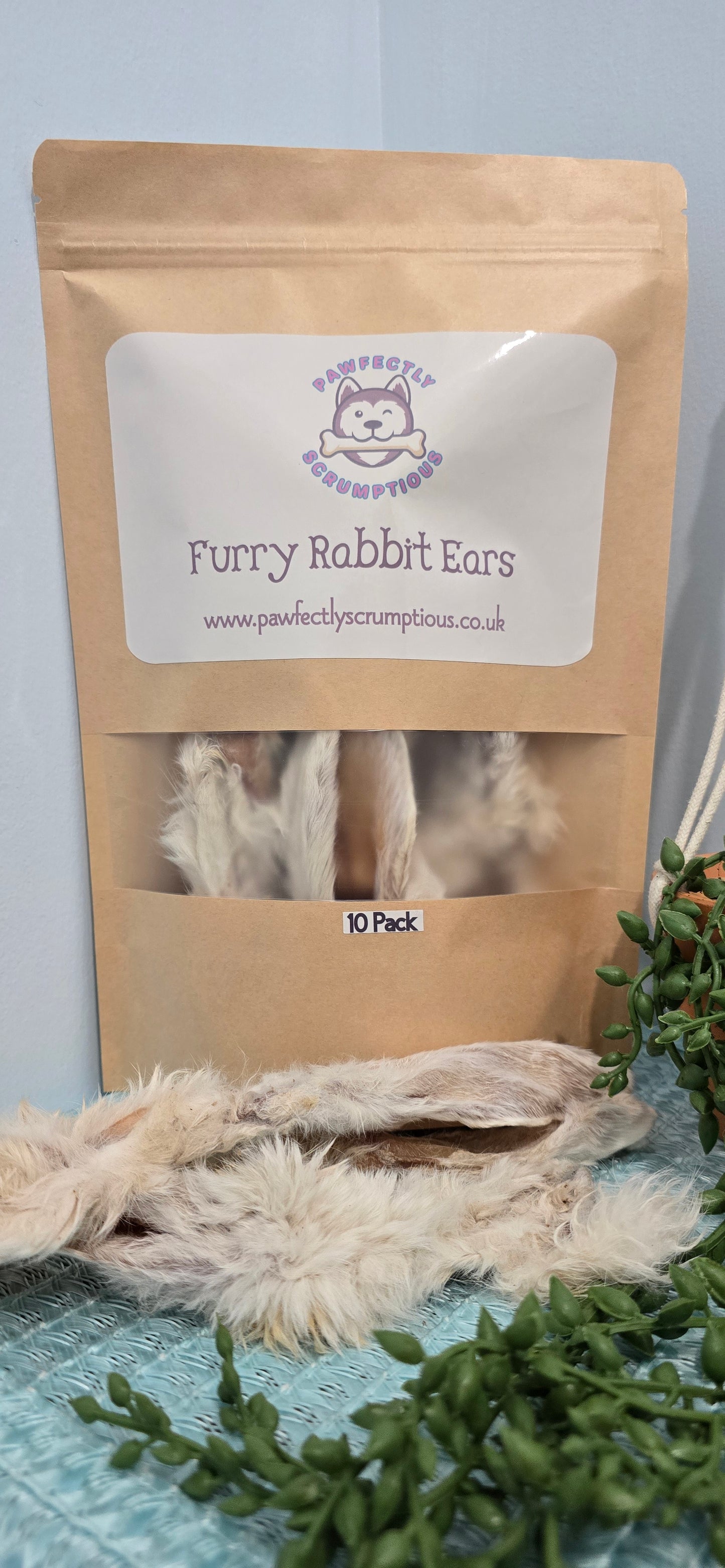 Rabbit Ears (WIth Fur/Hair)