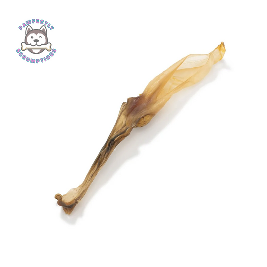 Rabbit Ears (WIth NO Fur/Hair)