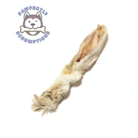 Rabbit Ears (WIth Fur/Hair)